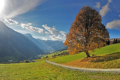Regional verwurzelt. Die Welt im Blick.